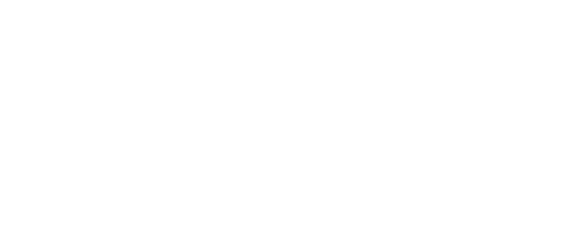 VISITORS VOICE